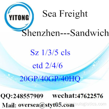 Shenzhen Port Sea Freight Versand nach Sandwich